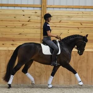 Meet your Posher, Ann